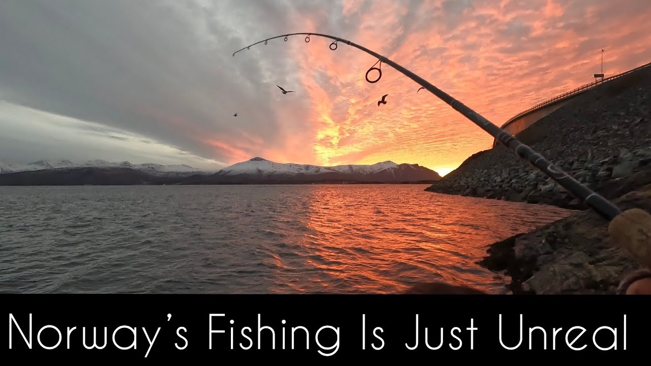 Epic Fishing Near Norway&rsquo;s Famous Storseisundbrua (Atlantic Road)