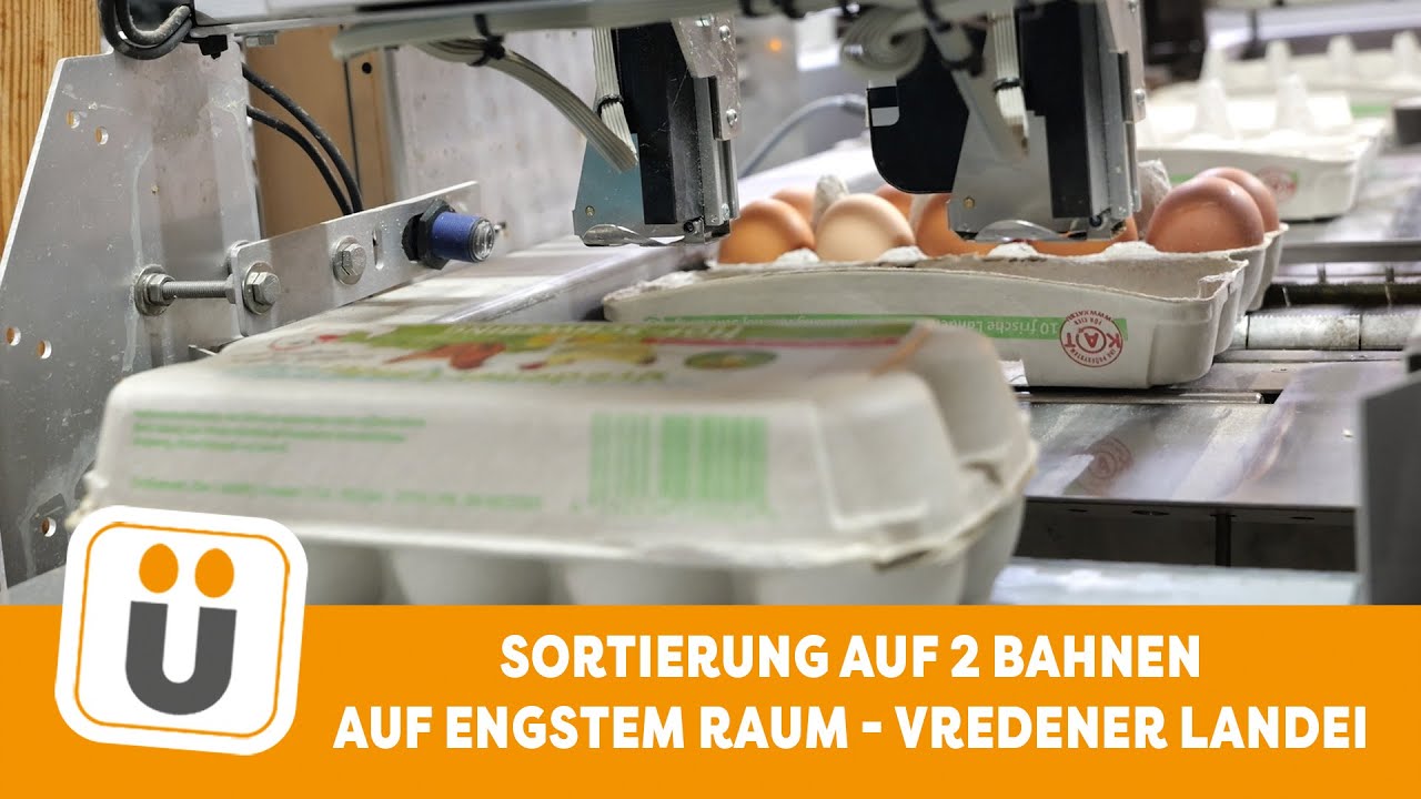 Eiersortierung mit 2 Bahnen auf engstem Raum beim Vredener Landei