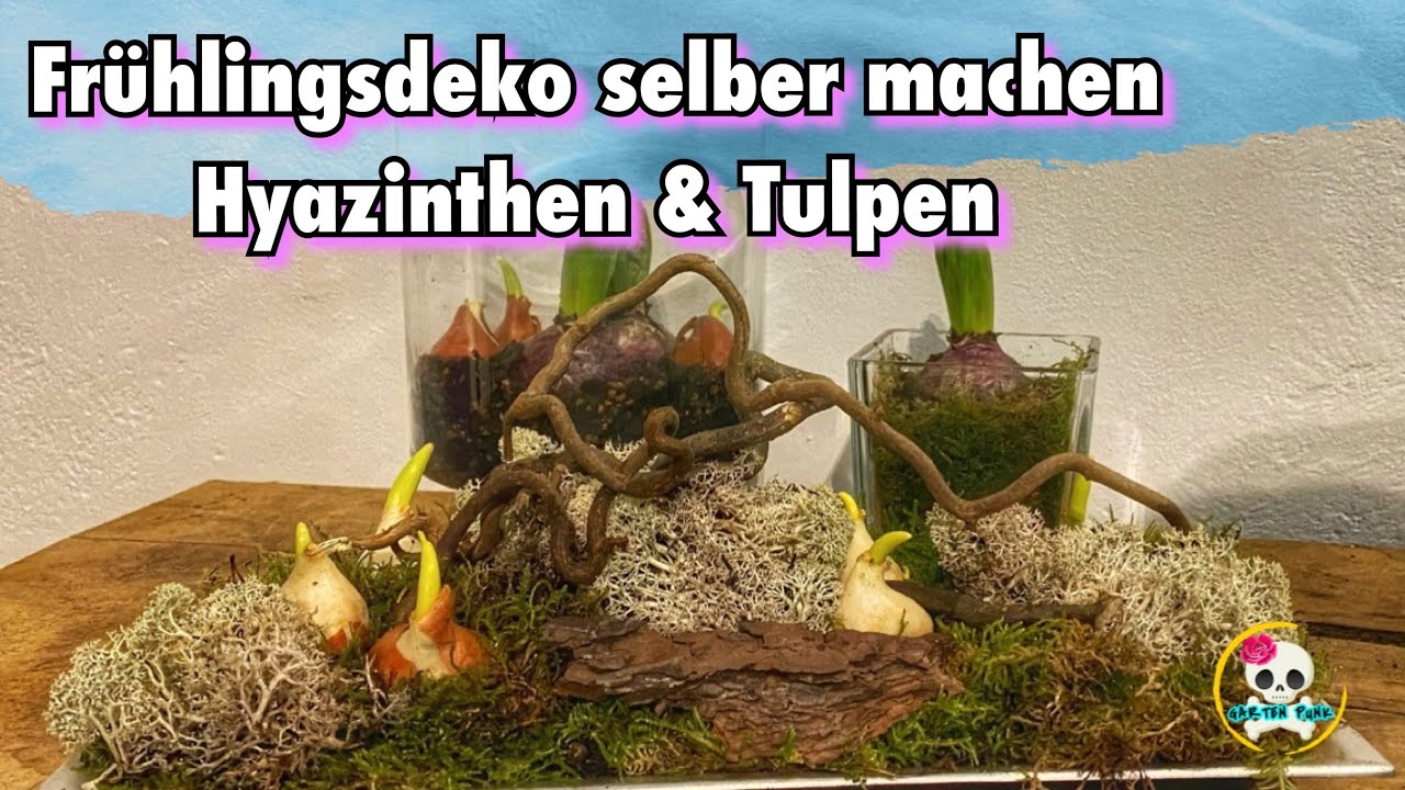 DIY / Frühlingsdeko selber machen | Deko mit Hyazinthen & Tulpen 🌷 + Pflegetips | Deko im Glas