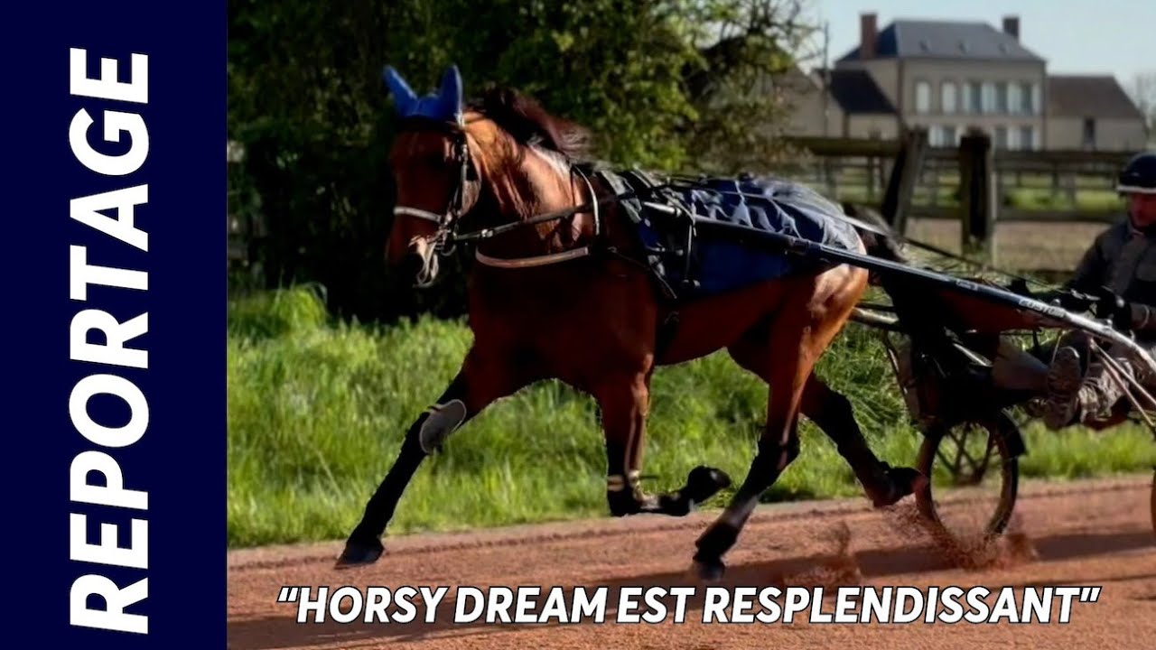 HORSY DREAM prêt à défier l'Atlantique - 18/04/24