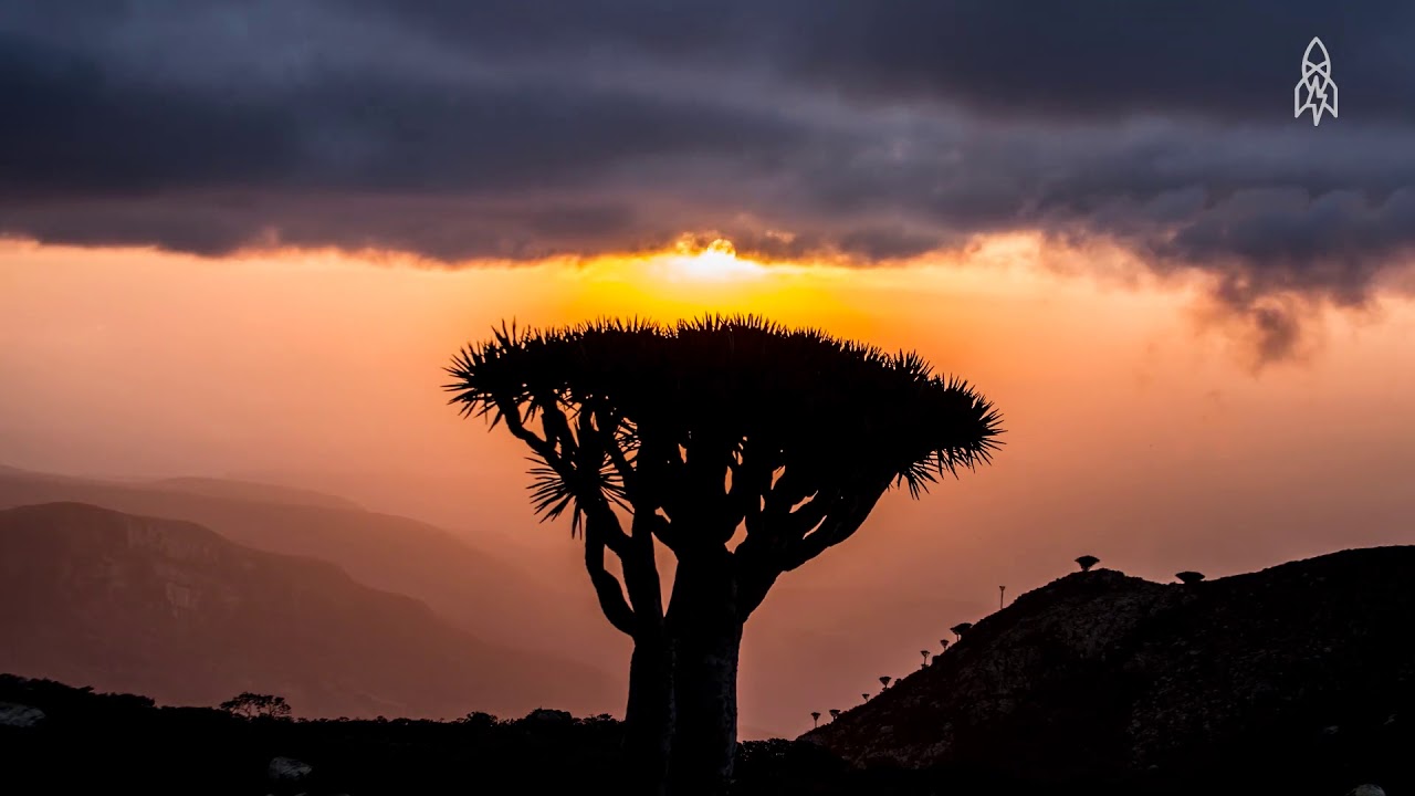 The Alien Beauty of Socotra Island Full HD