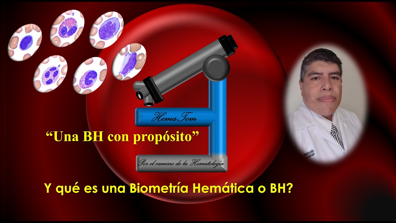 ¿Y qué es una Biometría Hemática o BH?
