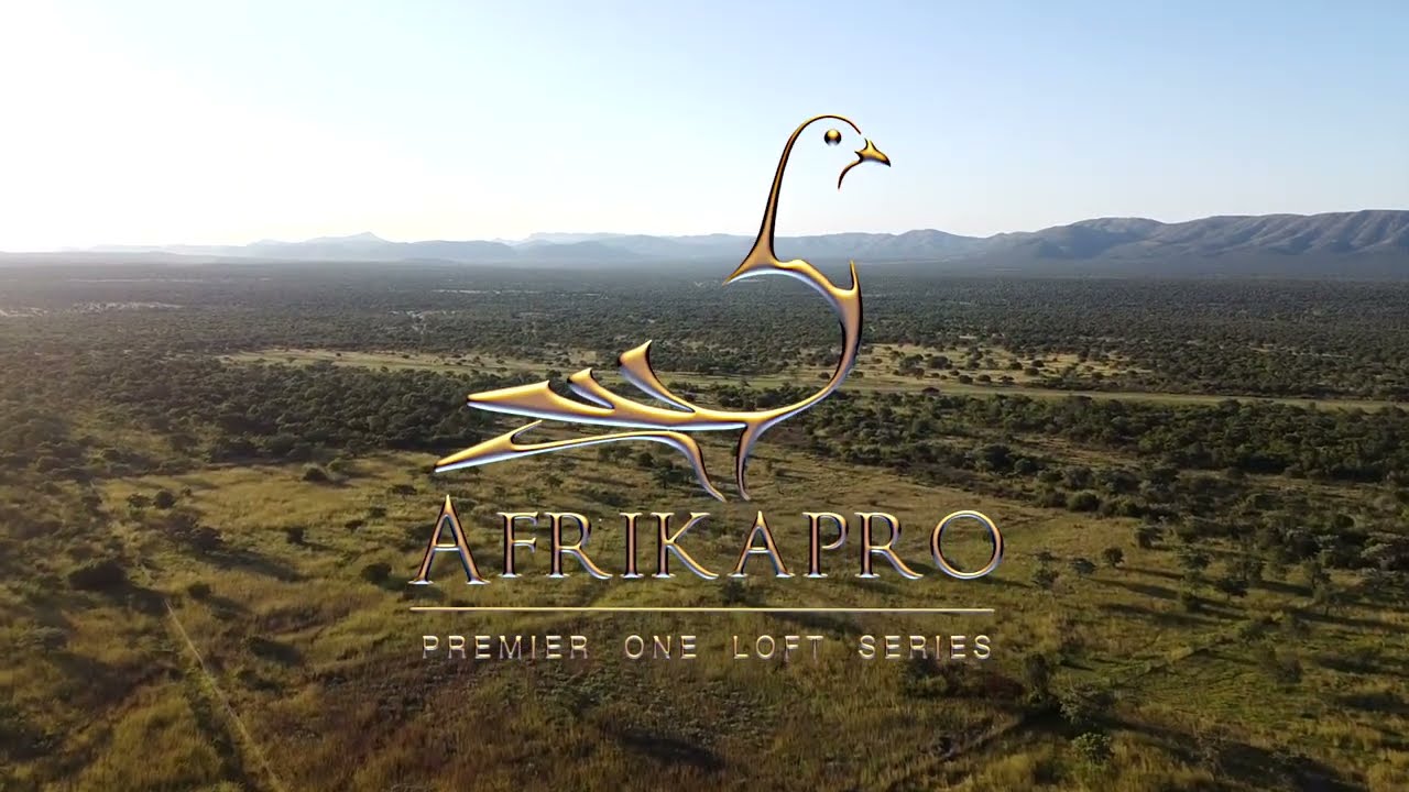 Arrival of our European Shipment