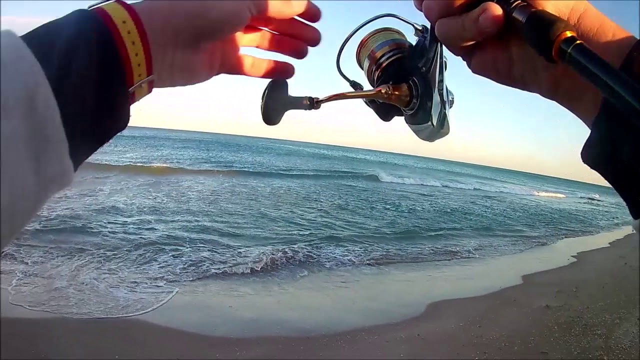 🐟Palometón en El Perellonet🥘