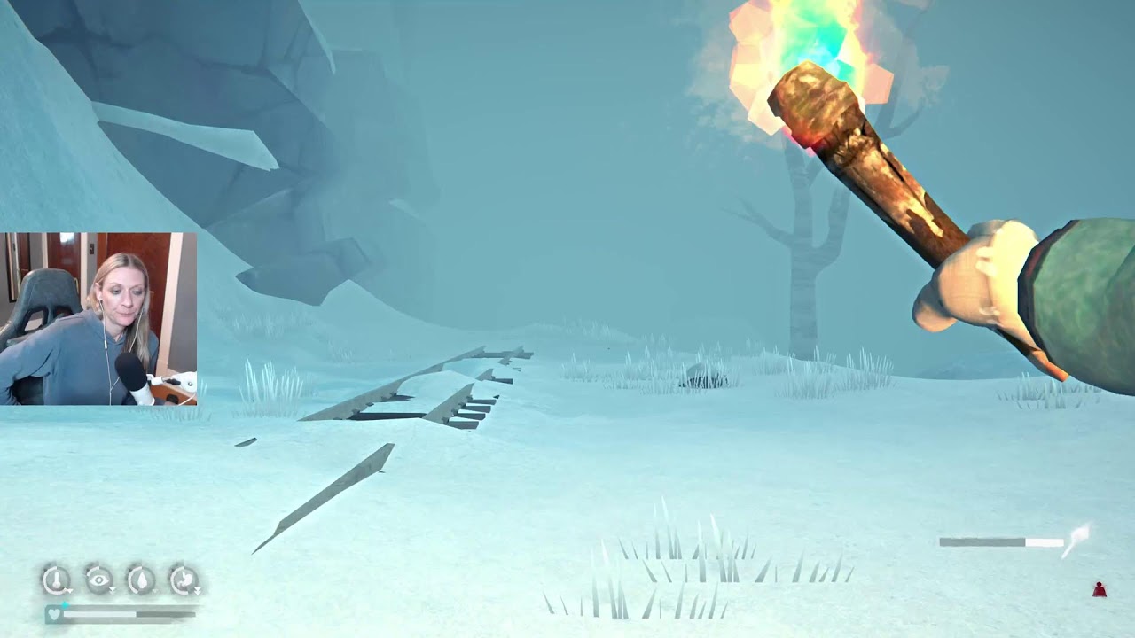The Long Dark