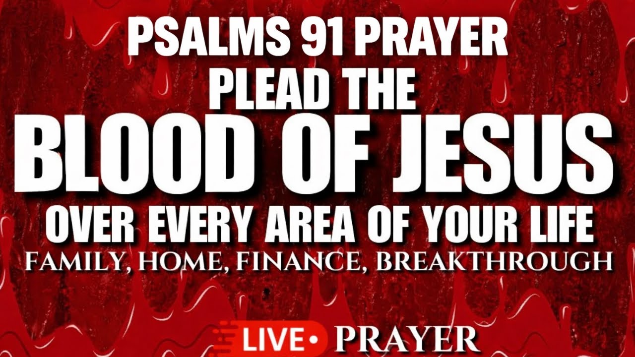 God May Have Led You Here… 🩸Plead the Blood of Jesus Over Your Life Before This Day Ends🔥