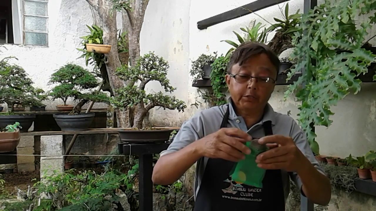 Como usar adubo orgânico