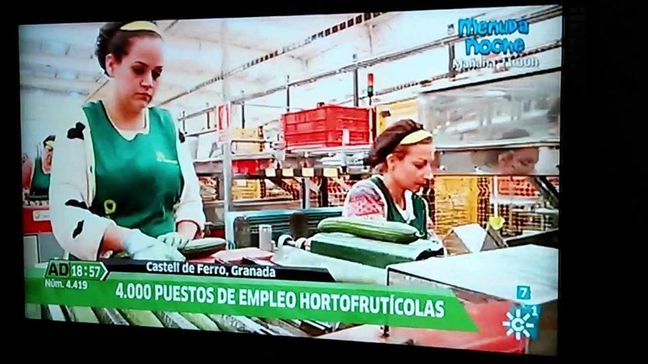 El Grupo S.C.A. 26-11-2015 Andalucia directo.