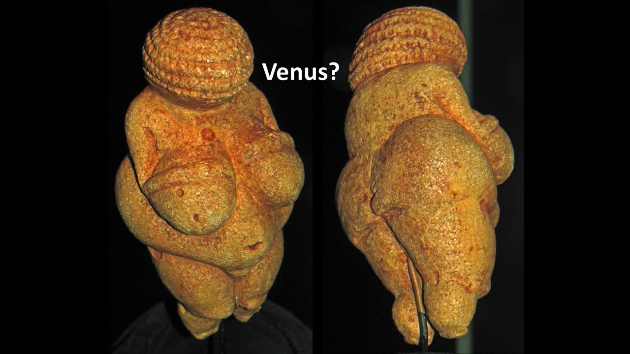 Case Study 1.2: Willendorf
