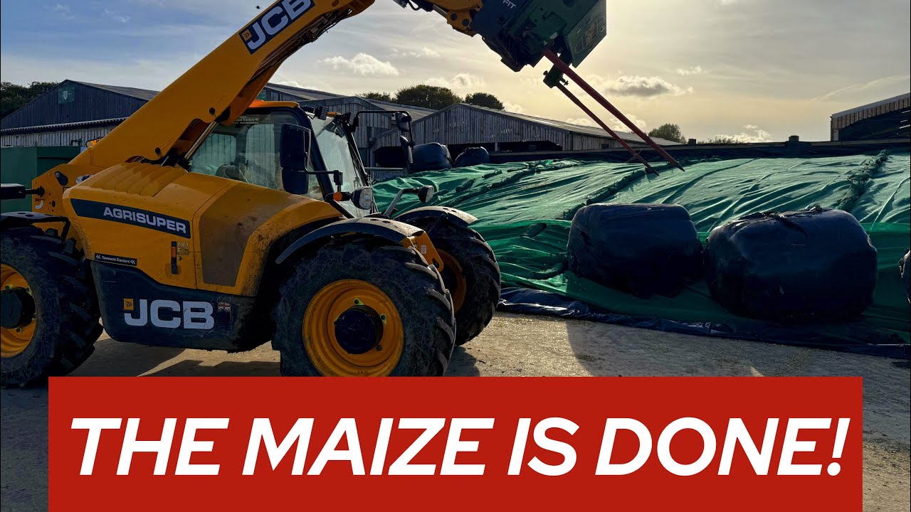 THE MAIZE IS IN&hellip; I MISSED IT!!