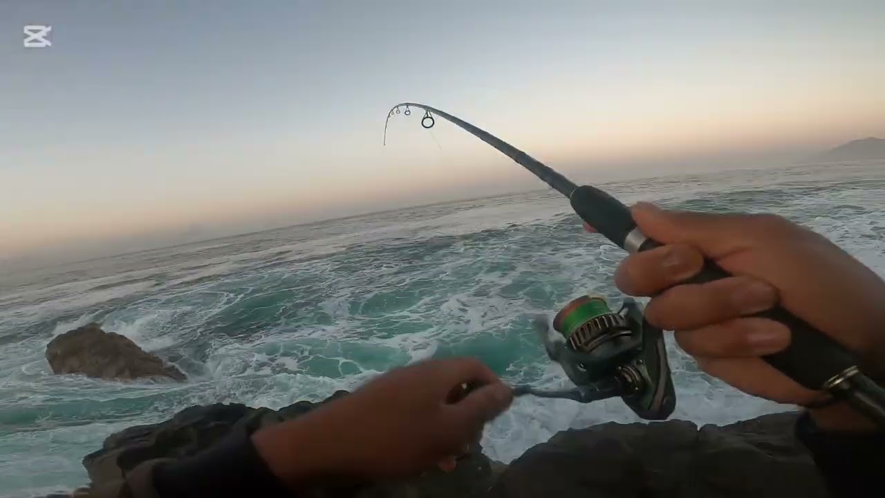 Pesca de cabrilla con mar movida con el amigo hector 