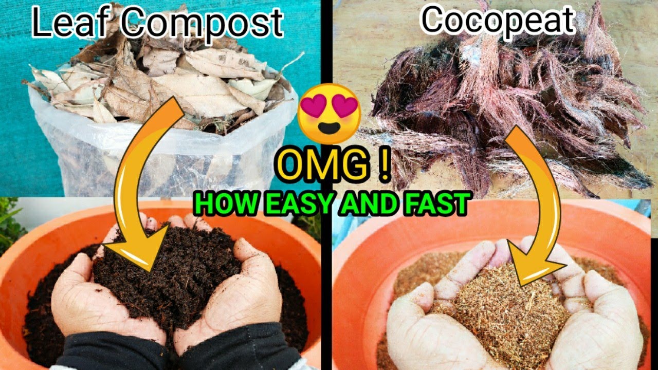 How to make Cocopeat and Leaf Compost at home  fast and easy. Amazing Results