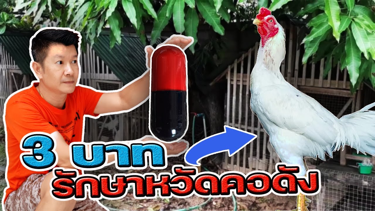 รักษาโรคหวัดคอดัง ด้วยเงินเพียง 3 บาท