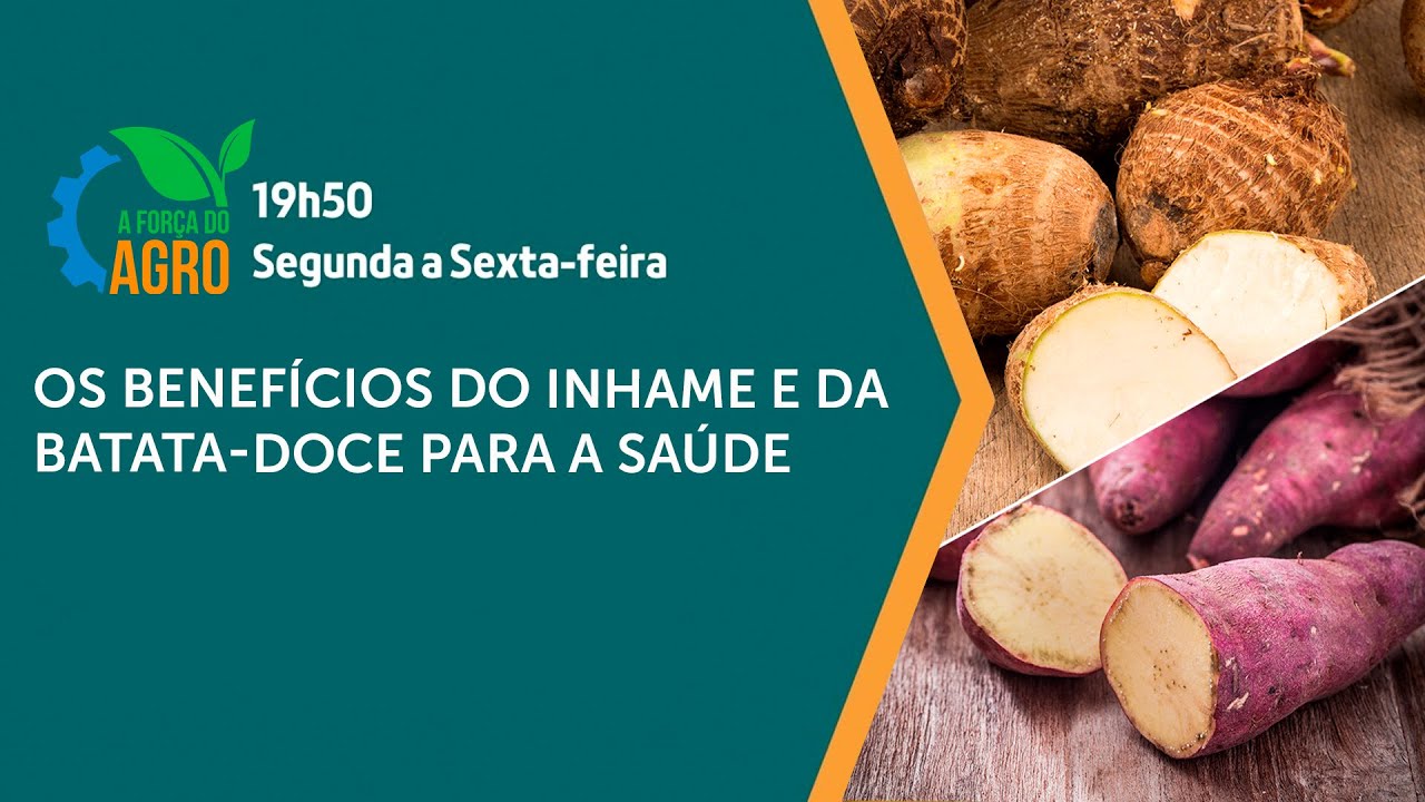 A Força do Agro - Os benefícios do inhame e da batata-doce para a saúde