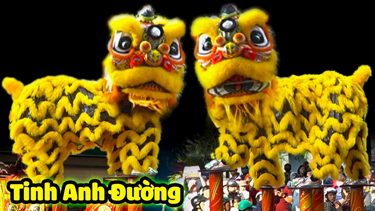 M&uacute;a L&acirc;n Sư Rồng Cực Hay 2026 đo&agrave;n LSR Tinh Anh Đường biểu diễn tại Phường Chợ Lớn