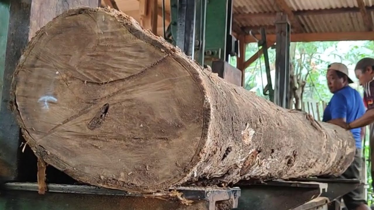 Beautiful teak wood sawing process for frame beams and furniture #201