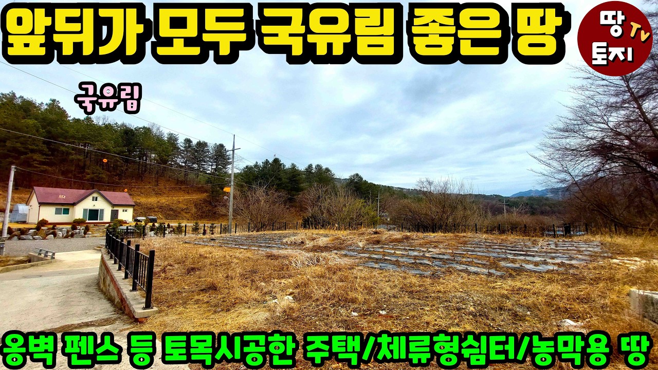 앞 뒤가 모두 국유림! 철제펜스까지 시공된 양평 토목공사 된 땅 매매 비용절감! 소액 전원주택 체류형쉼터 농막용 토지 싼 저렴한 세컨하우스 주말주택 텃밭땅 #양평싼땅 #양평국유림땅