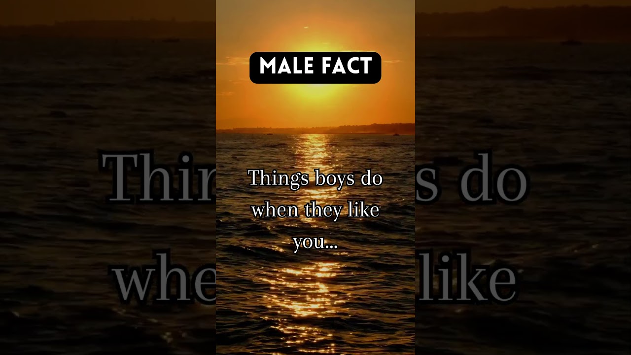 Breaking Stereotypes: Surprising Revelations about Male Behavior