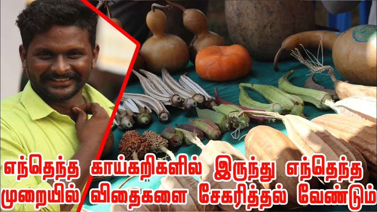 நன்கு திரட்சியான மற்றும் இனத்துாய்மையான விதைகளை முளைப்புத்திறன் உடன் நீண்ட நாட்கள் சேமிப்பு எப்படி?
