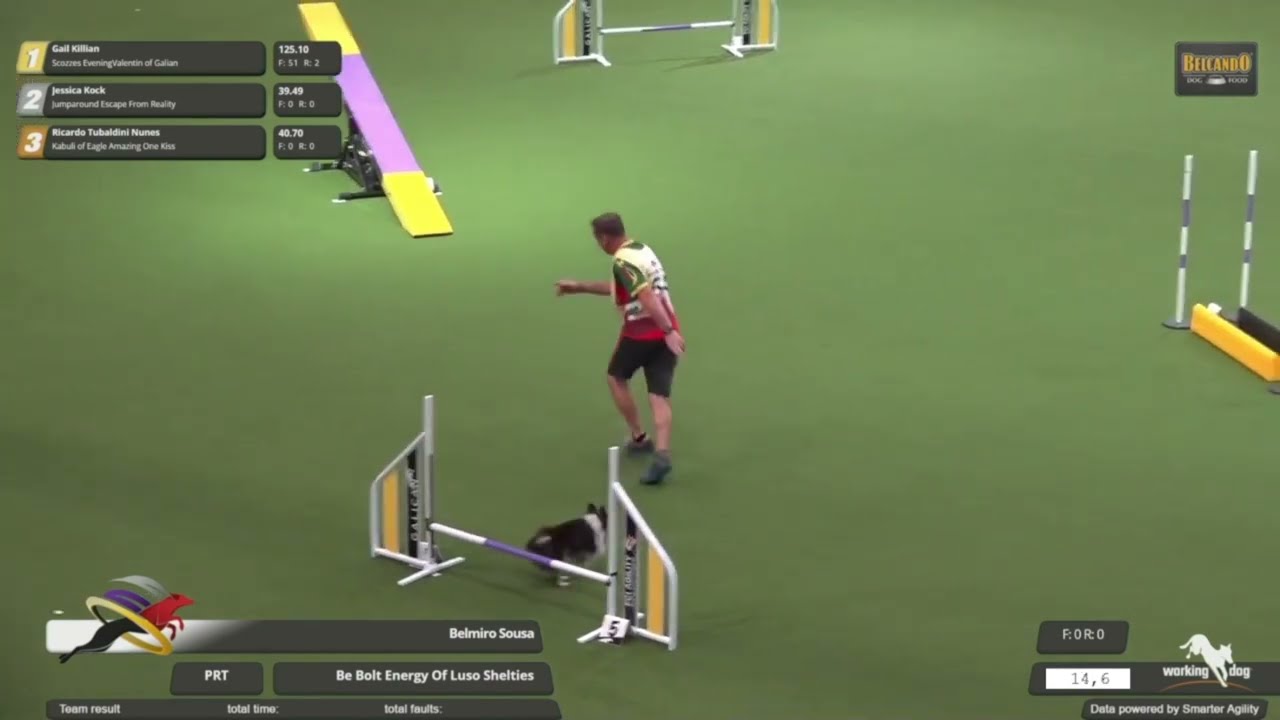 AWC - POR - Individual Runs