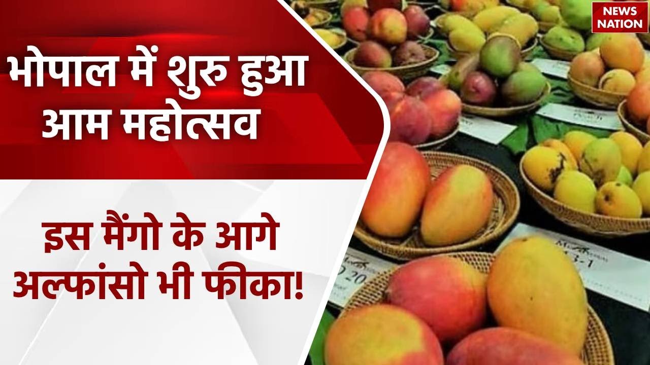 Bhopal में आयोजित हुआ Mango Festival, रीवा का सुन्दरजा आम कर रहा आकर्षित | News Nation