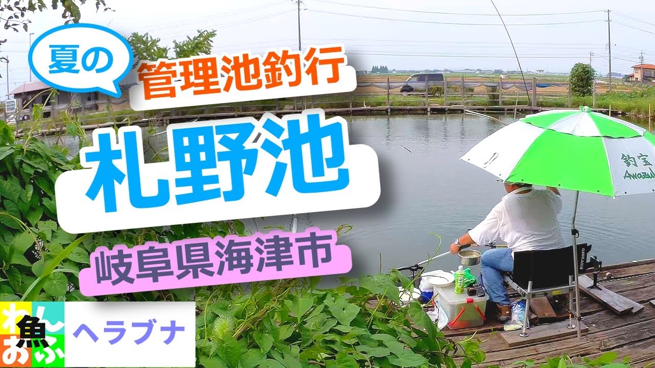 夏のヘラブナ管理池　札野池で手探り釣行【ヘラブナ釣り】岐阜県海津市　札野池 ■ Japanese herabuna fishing summer 2022