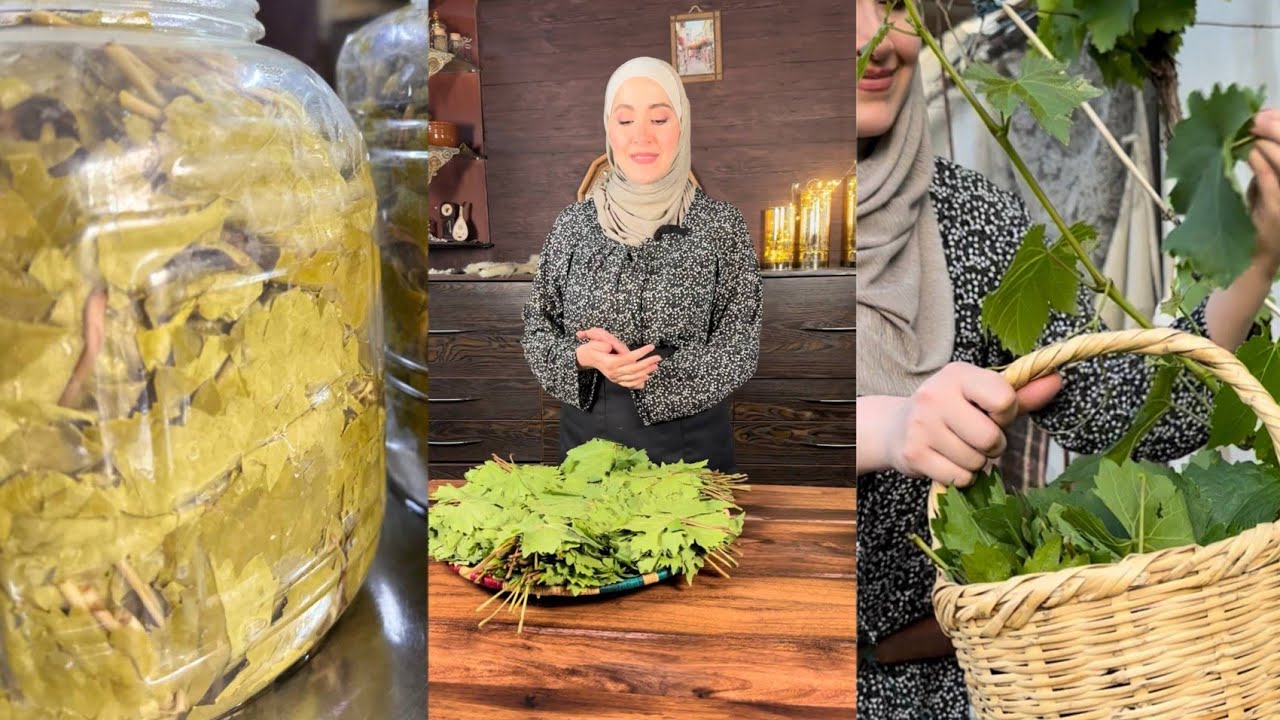 مونة الورق العنب بطريقتين ،بملح وبدون ملح ،واكيد بدون ثلاجة او فريزر ،تدووم لسنوات عديدة!!!