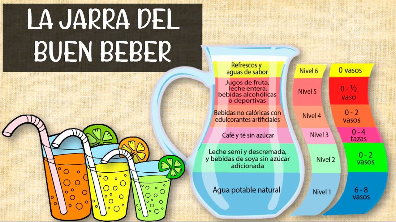 La jarra del buen beber &iquest;Cu&aacute;les bebidas son saludables para nuestro cuerpo? explicaci&oacute;n f&aacute;cil