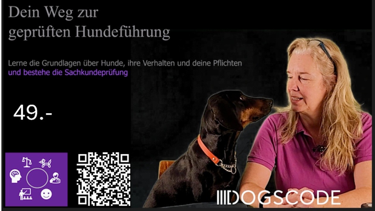 Sachkundeprüfung Niedersachsen (§3) – Onlinekurs für nur 49 Euro inkl. MwSt.