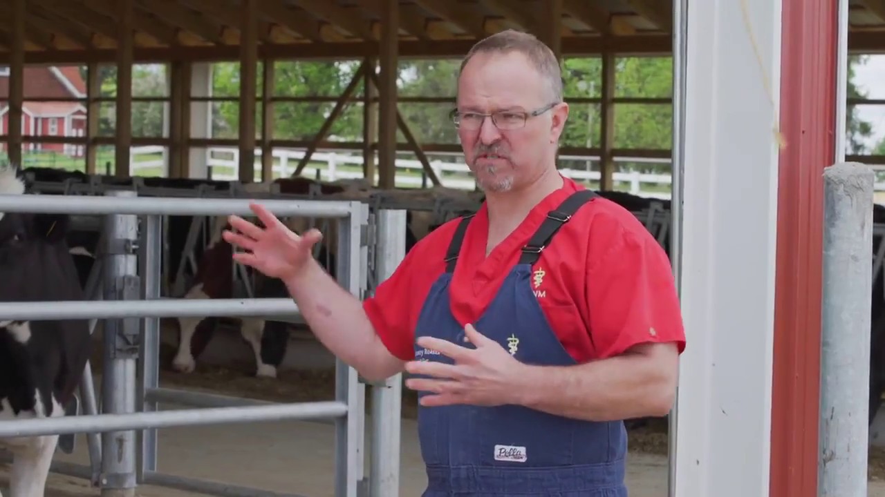 WHO KNEW DAIRY COWS COULD PRODUCE SO MANY RENEWABLE RESOURCES!