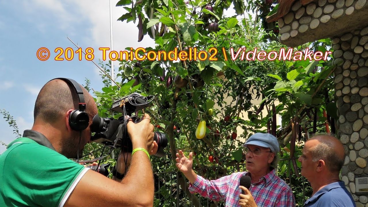 Francesco Mangano, l'uomo dell’Orto sull’Albero di nuovo in TV, 2018 - by ToniCondello2