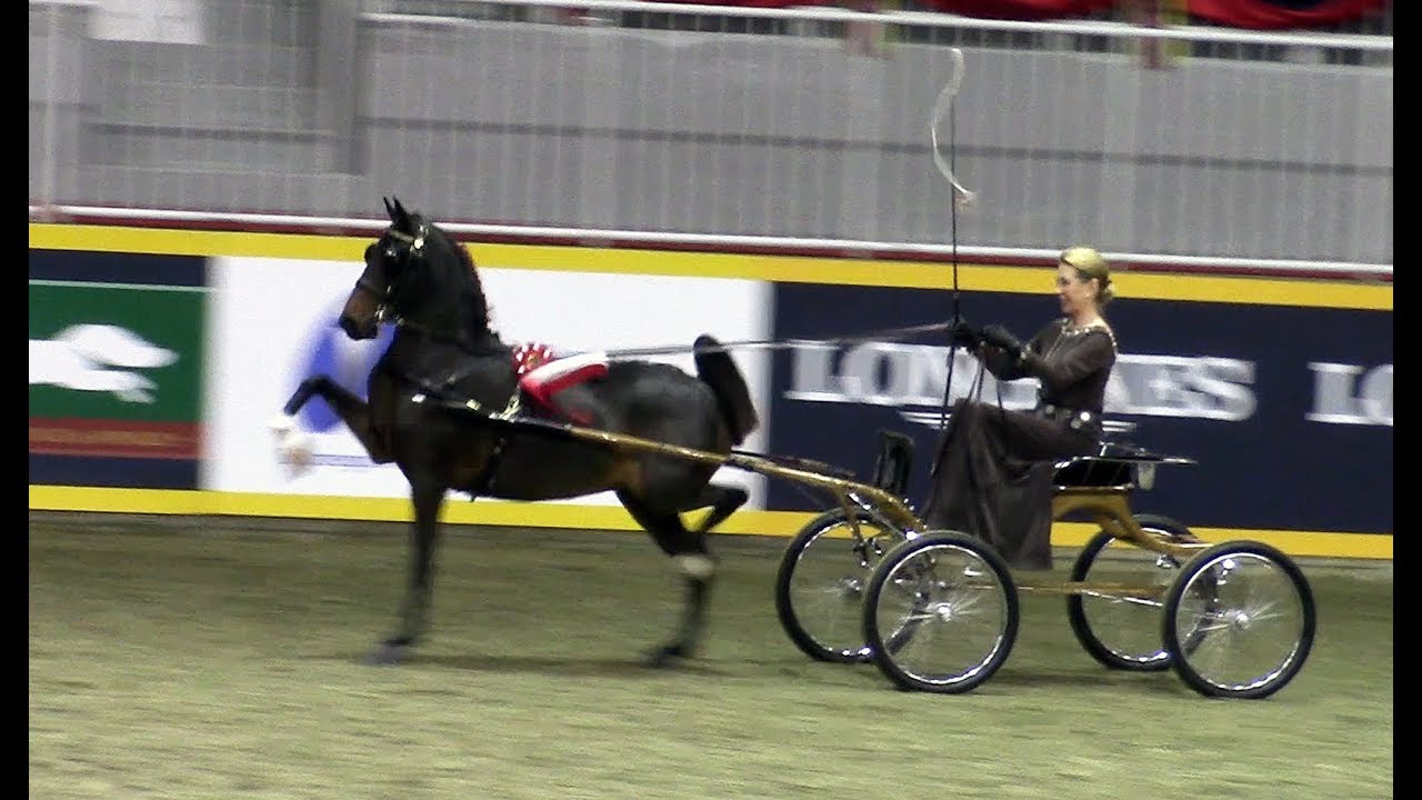 2019 Royal Agricultural Winter Fair