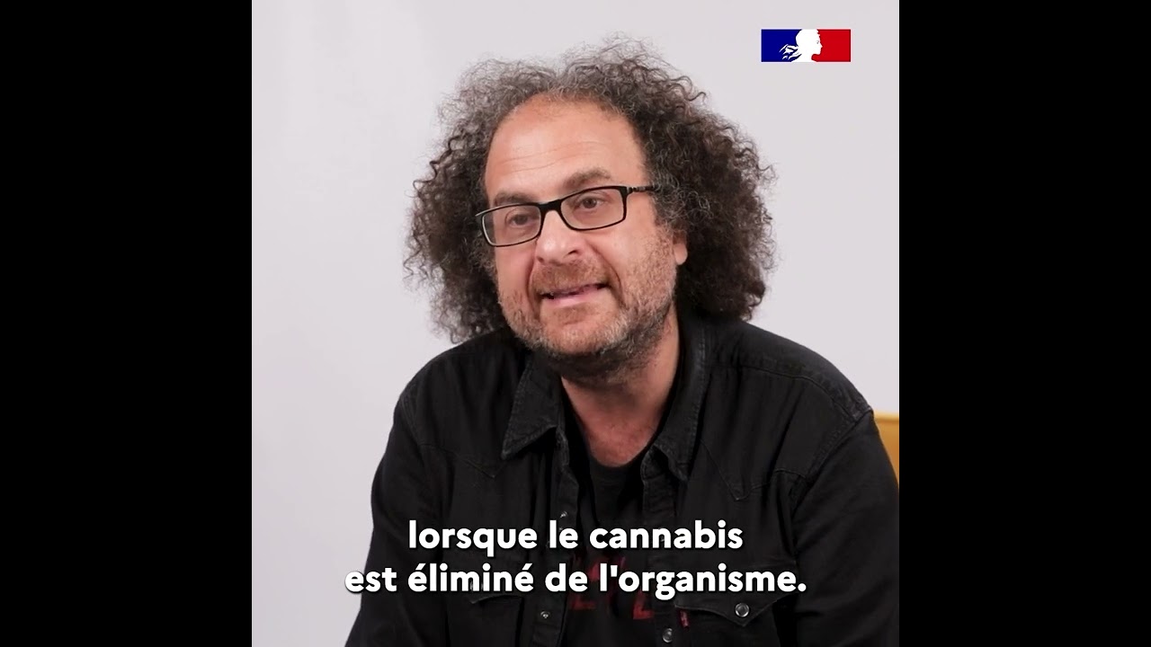 Cannabis & concentration : l'avis de l'expert