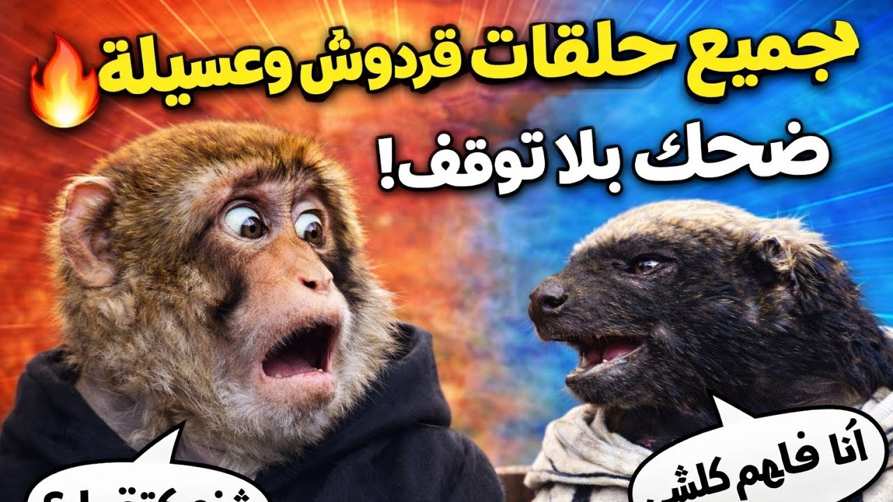 😂 لحظات مضحكة مع قردوش وعسيلة | فيديو كامل بلا توقف!
