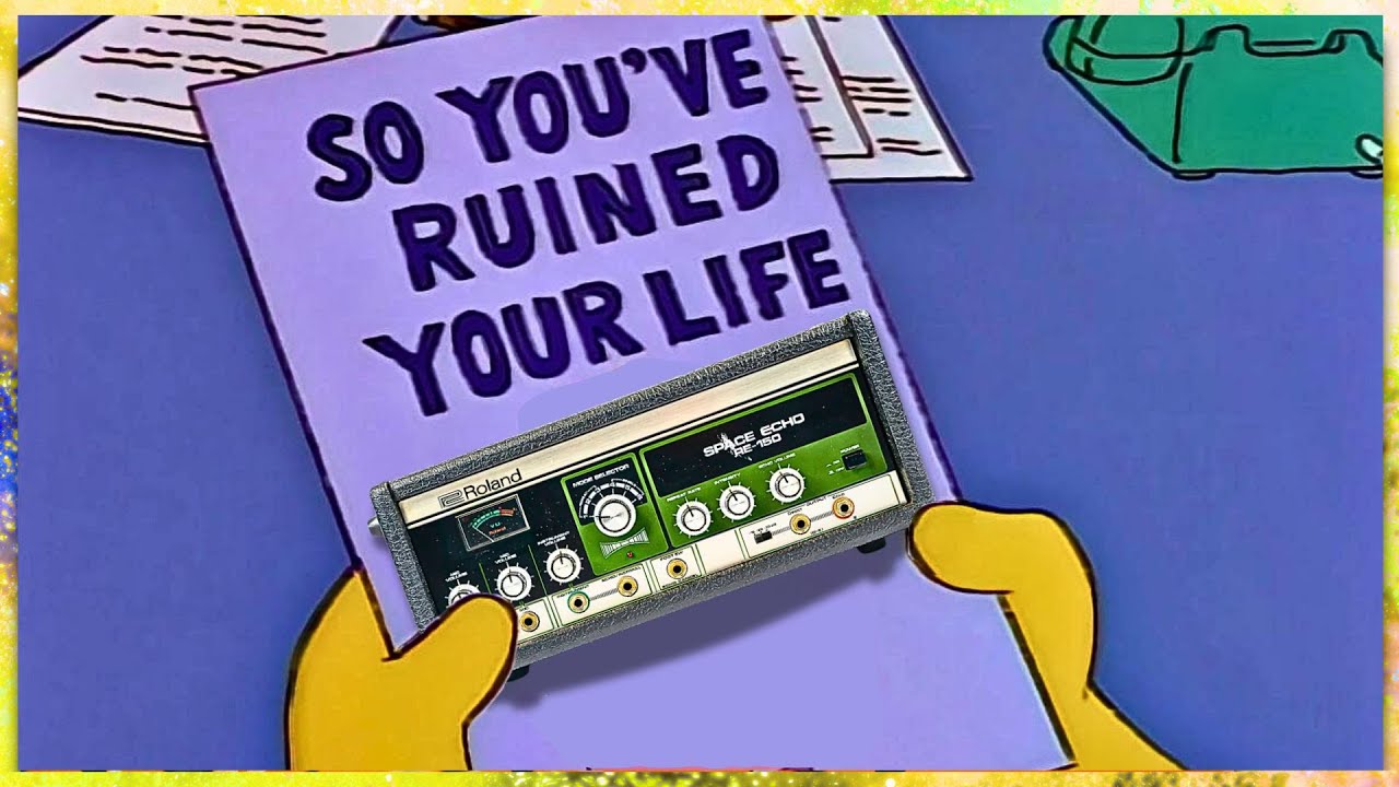 It's FUN to do BAD THINGS😑: Roland Space Echo