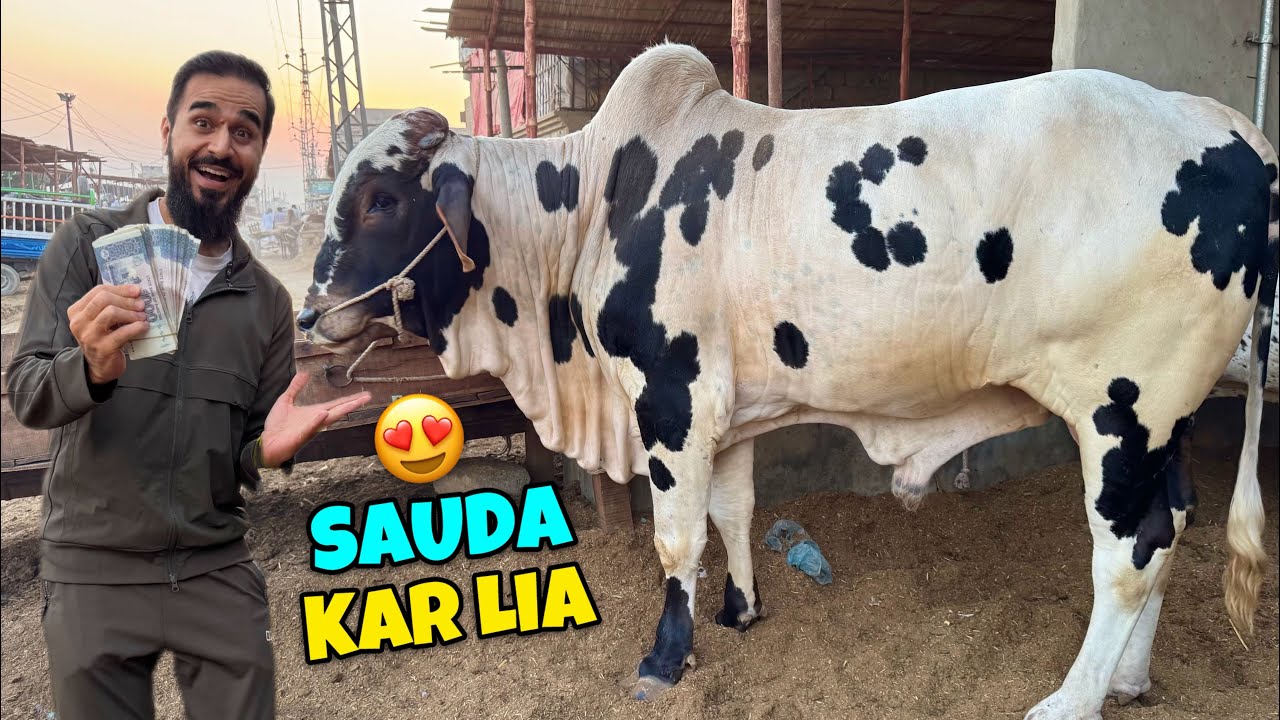 VIP JANWAR KA SAUDA KAR LIA 😍