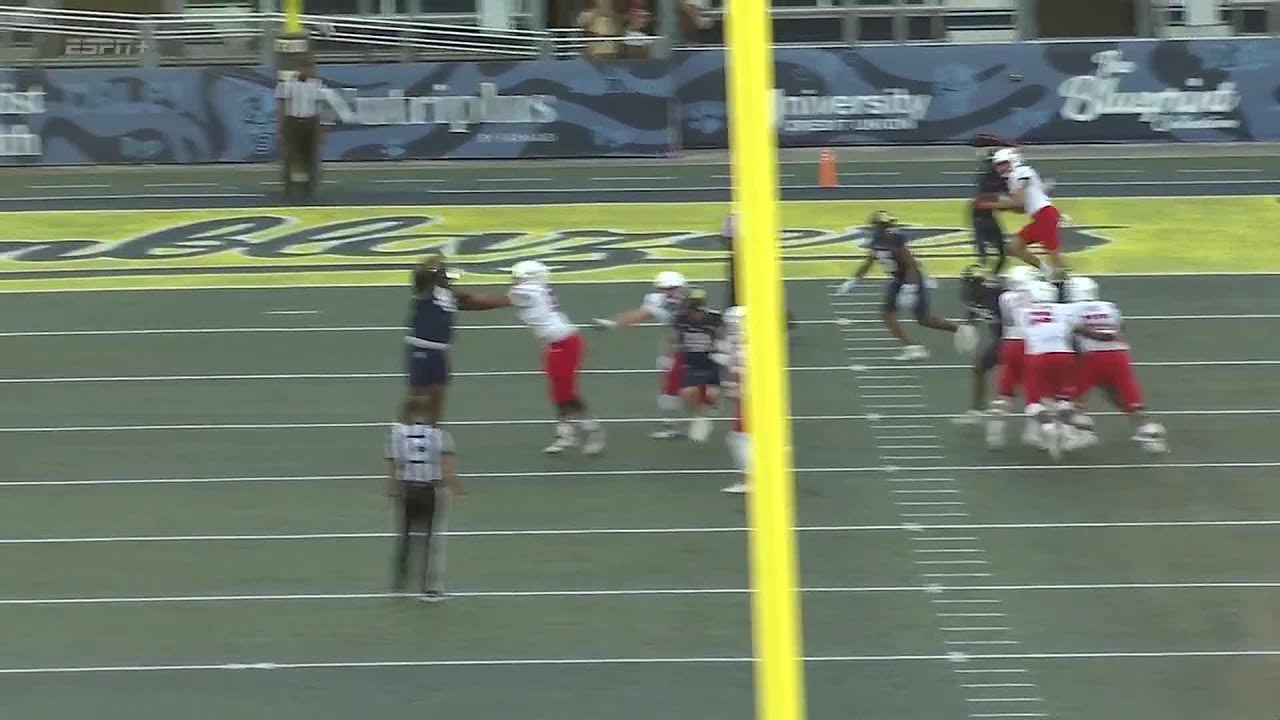 Liberty Flames vs. Florida International Panthers - Highlights | 2025 Regular Season Week 12