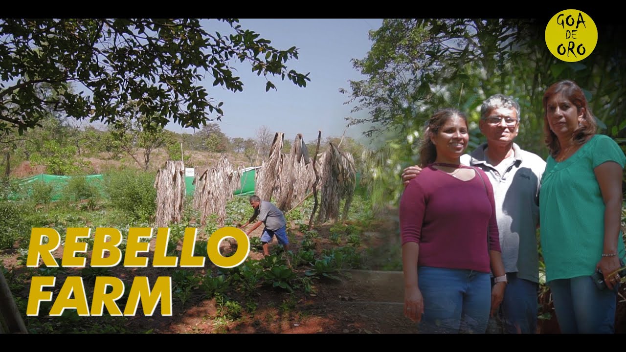 Stories of SWAYAMPURNA GOA - Rebello Farm | GOA DE ORO