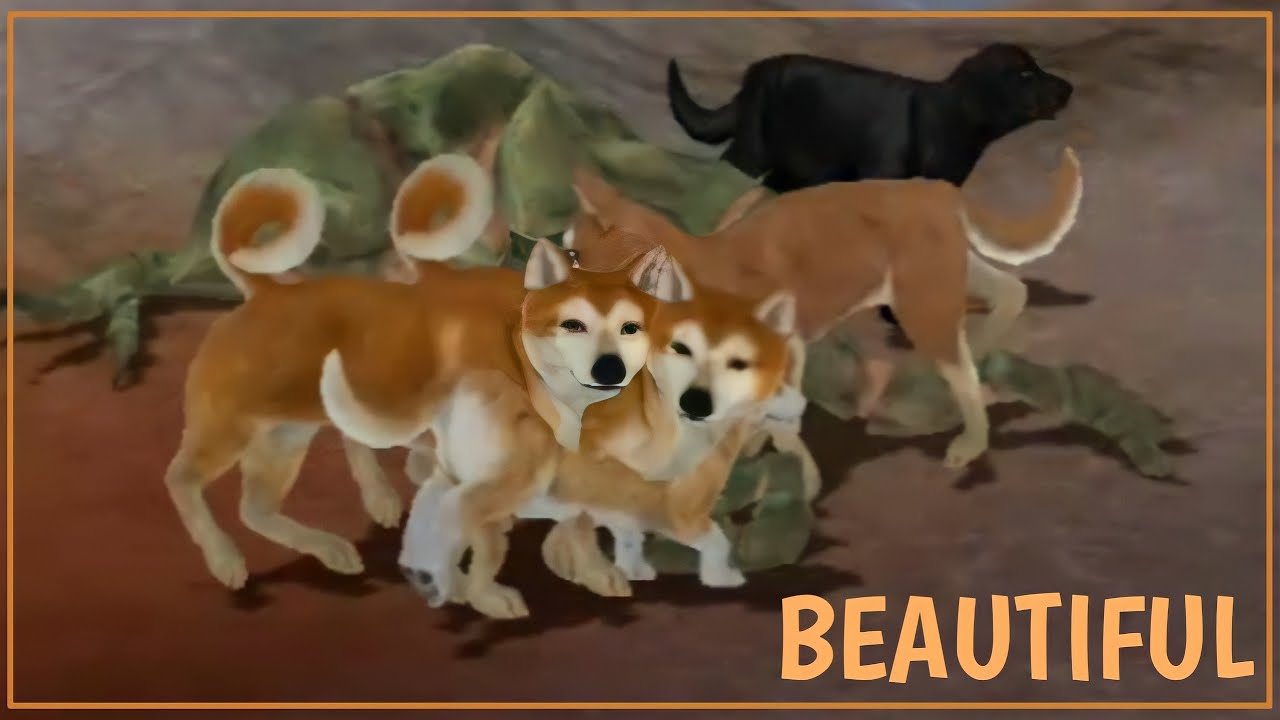 DOG ONLINE - THE MOST BEAUTIFUL GAME I'VE EVER PLAYED