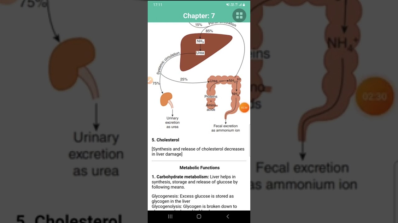 FUNCTIONS OF LIVER//PHYSIOLOGY//BIOLOGY//GIT//DIGESTIVE FUNCTIONS OF LIVER