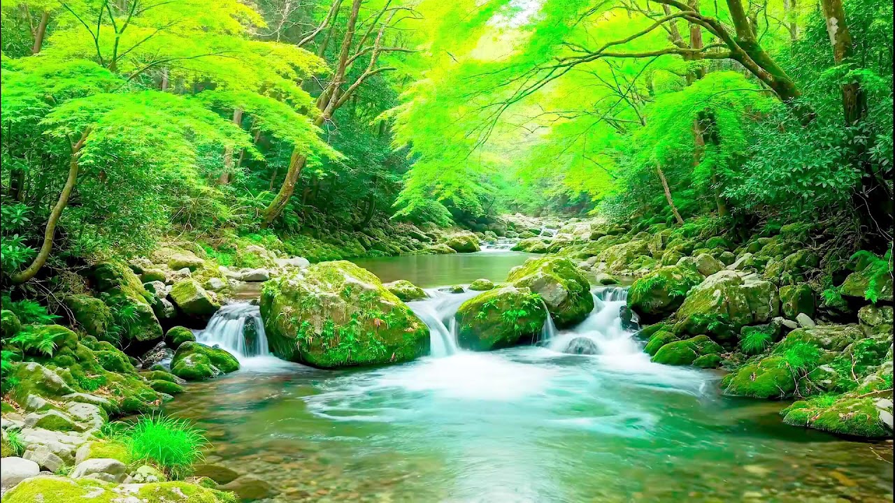 Gentle River Sound for Deep Sleep | Soothing Audio Therapy for Mental Wellness