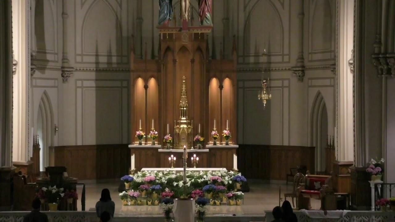 St Dominic Church Live Stream