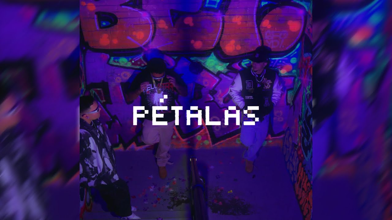 AL7 - Pétalas | RL OFC, Livera (Visualizer)