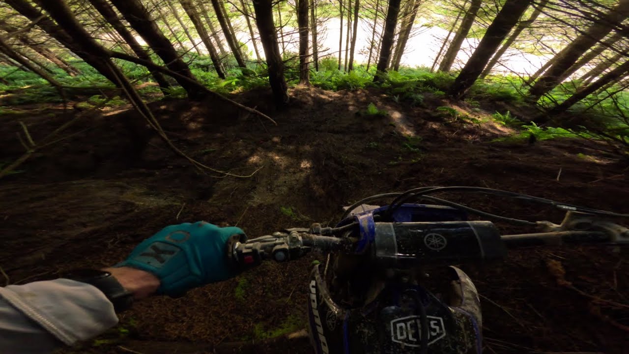 Link Up + Zinger Down - Berm Buster Nov 2024