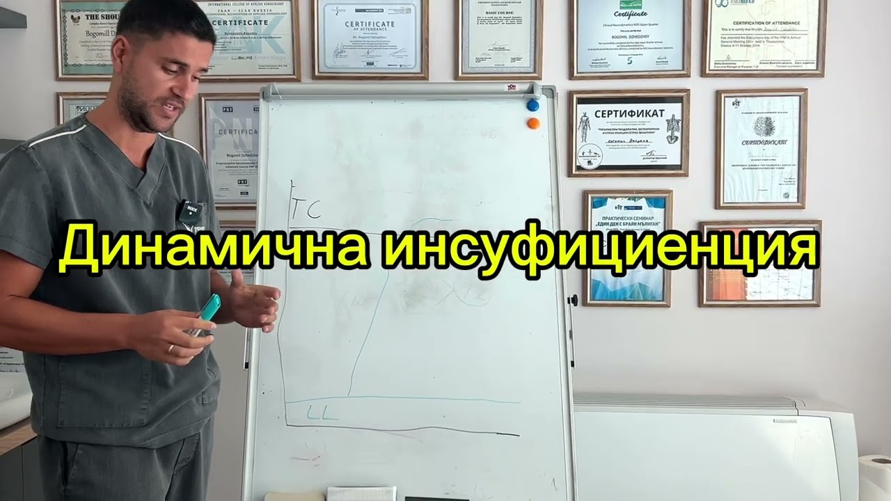 Лимфна Система