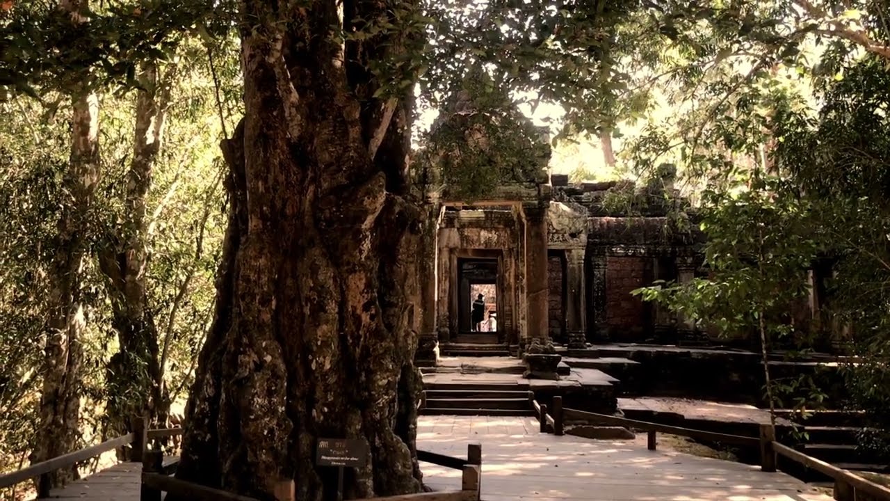 Relaxing with Khmer flute | Ancient Jungle Temple Peaceful | Cambodian Instrument Music