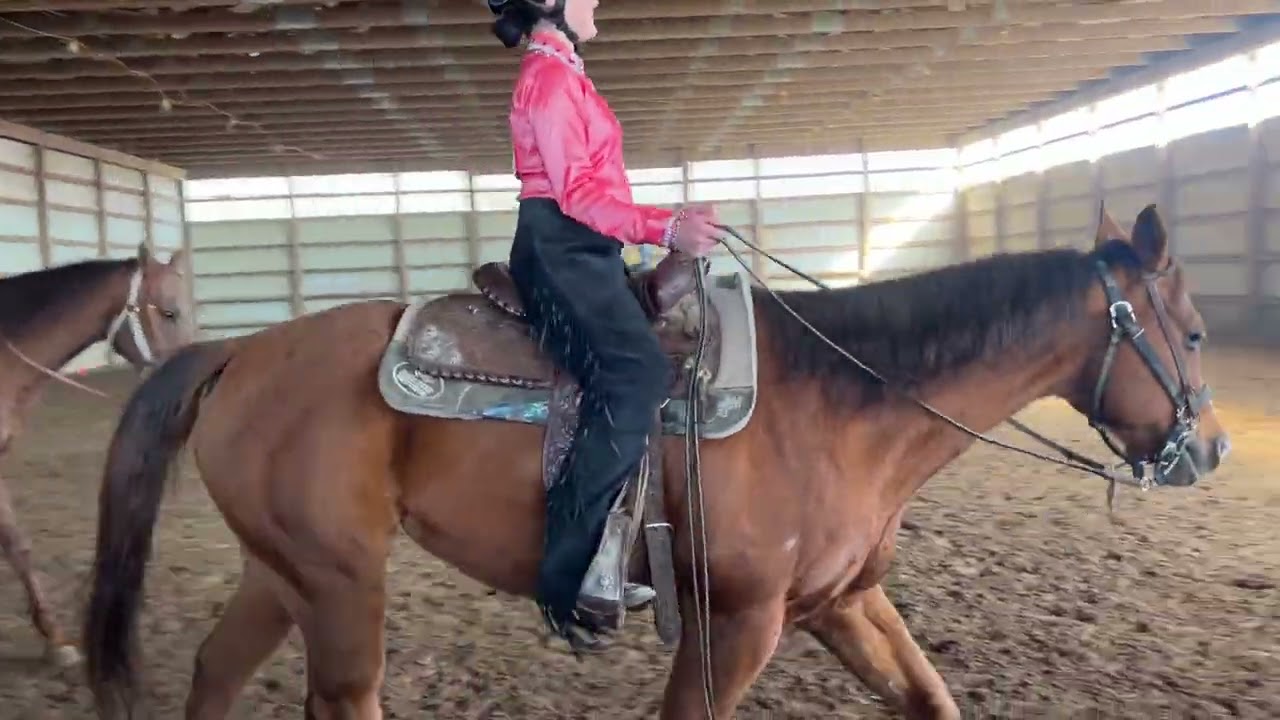 Horsemanship 2024 IEA pd 