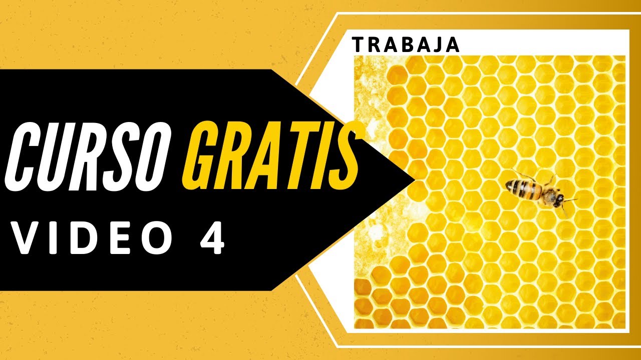CURSO de TRADING GRATIS Paso #4 - // ⭕ Practica Real Plataforma Trading⭕