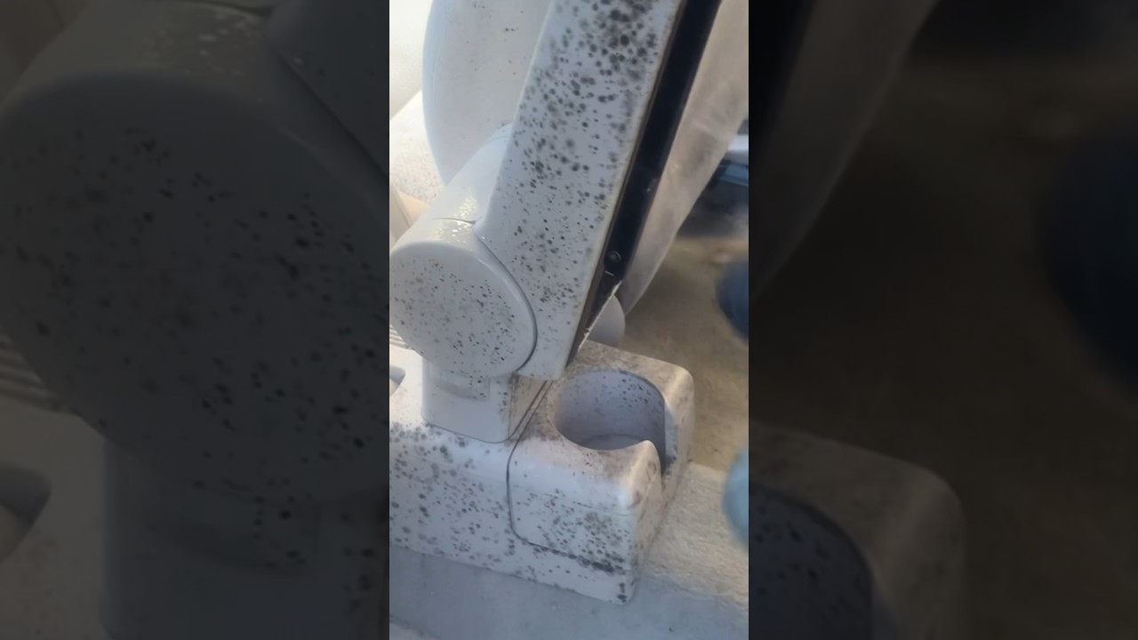 Black Mold Car Detail Disaster #automobile #detailing #car #cleaning #asmr #satisfying #automotive