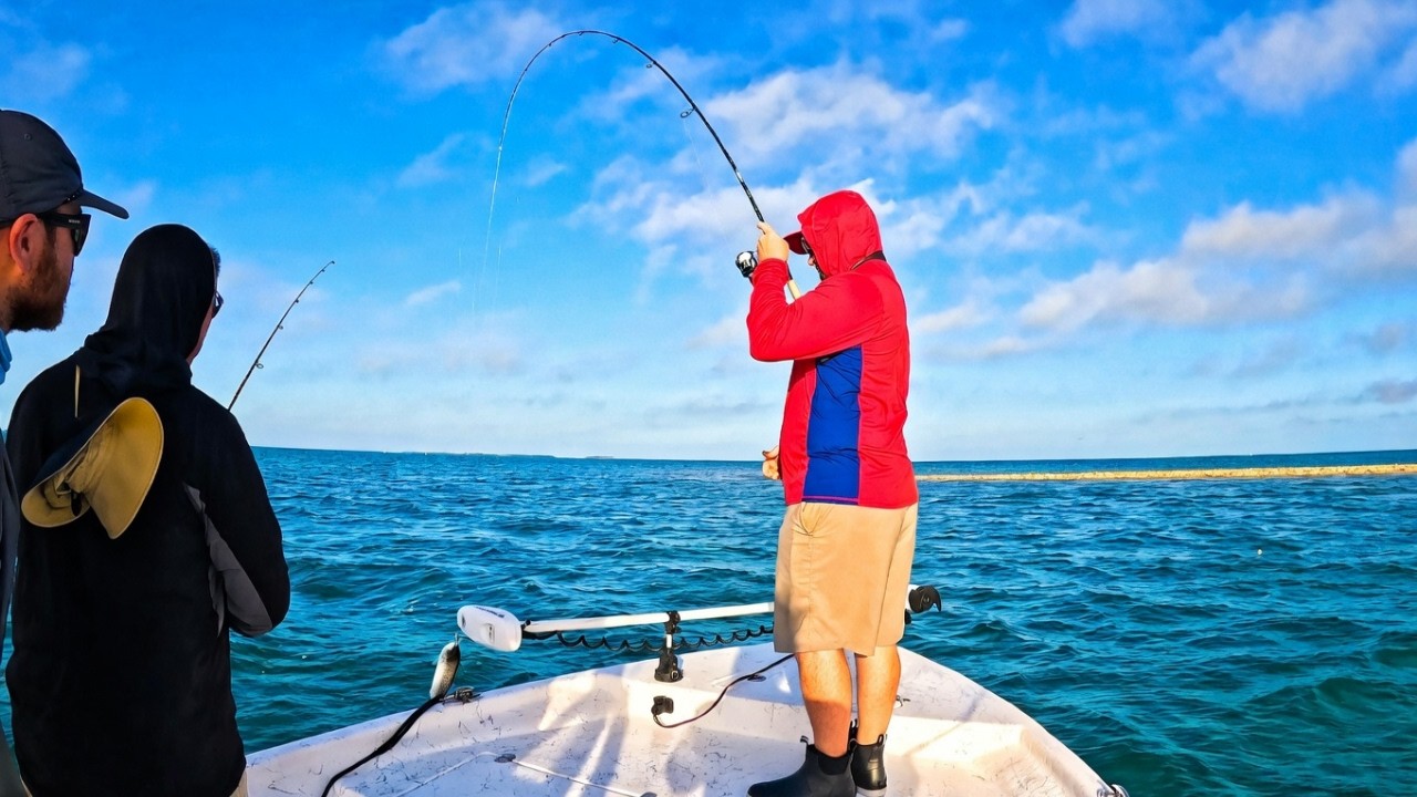 Targeting Mackerel with a Brand New Technique